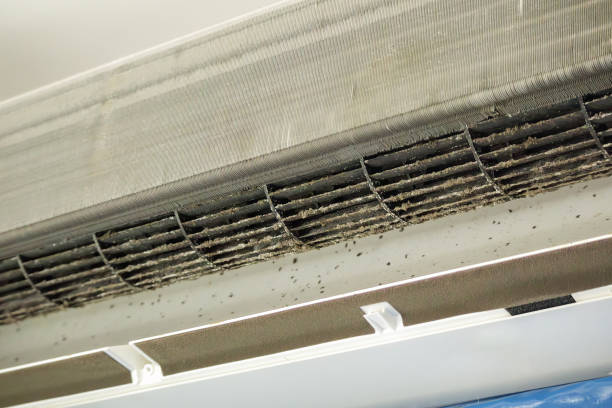 Best Local Air Duct Cleaning Services  in Socorro, NM